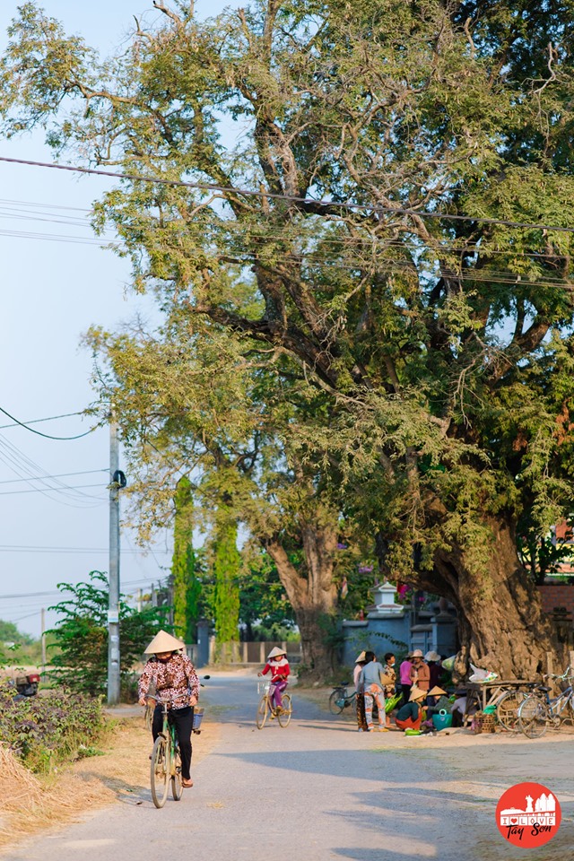 Danh ngôn trên lịch