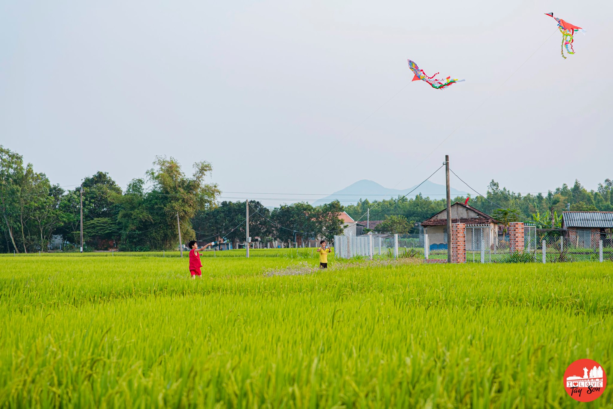 Huyện tây sơn 40 năm xây dựng và phát triển