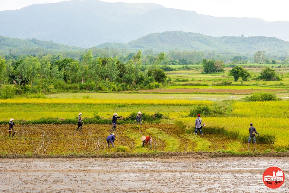 Một góc quê hương