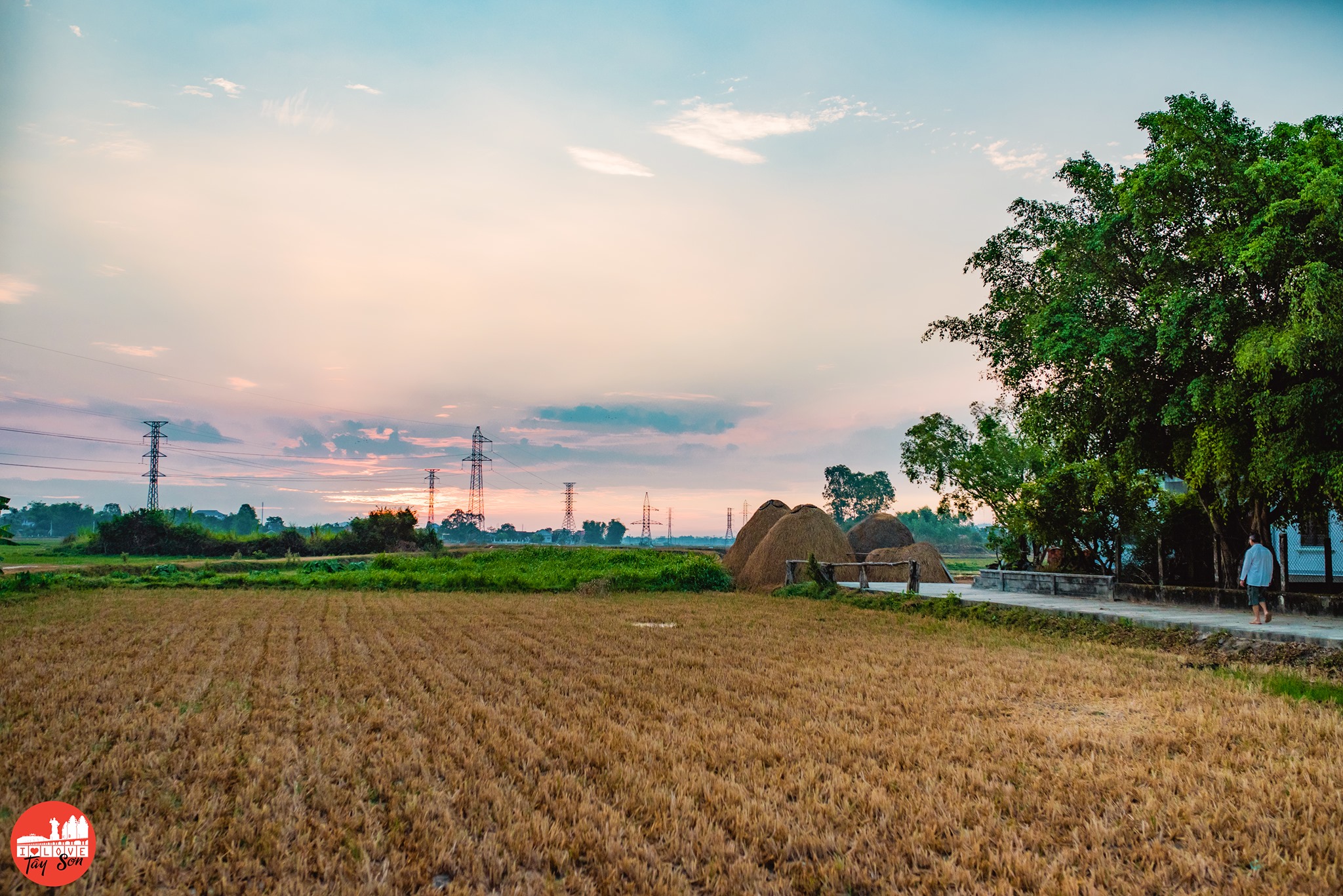 Tiền tệ thời tây sơn